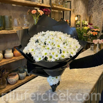 Bursa Nlüfer Papatya Buketi