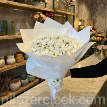 Beyaz Papatya Buketi, Bursa, Nilüfer