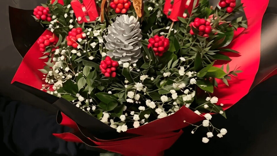 Kokina Çiçeği Yılbaşı Çiçeği