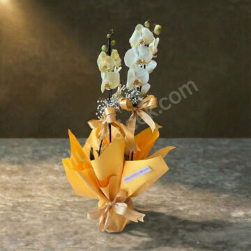 Çift Dal Sarı Orkide